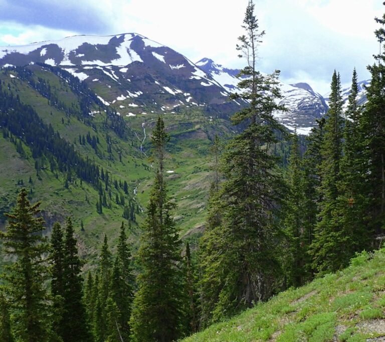 Best Free Campsites in Colorado